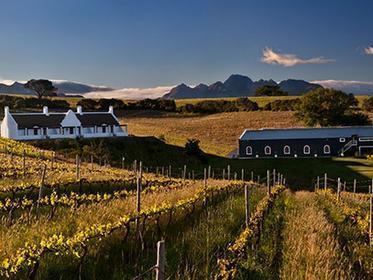 Aaldering Vineyards And Wines Luxury Lodges Stellenbosch Exterior photo